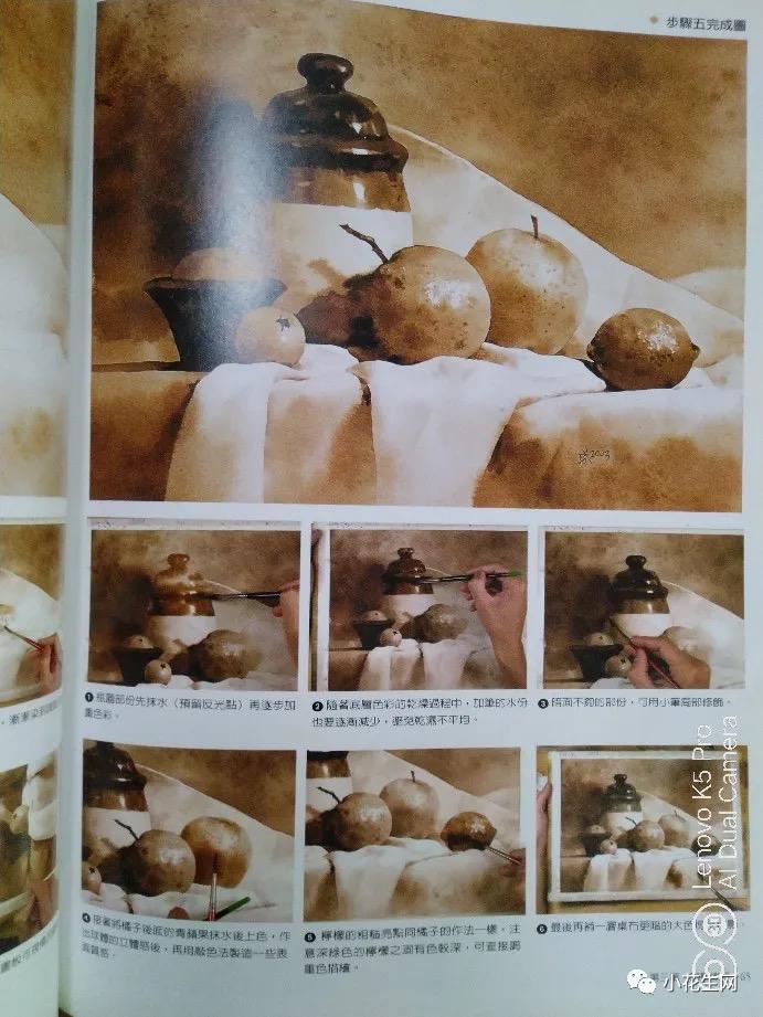 从零开始学绘画必备的画,从零开始学绘画第一步教程