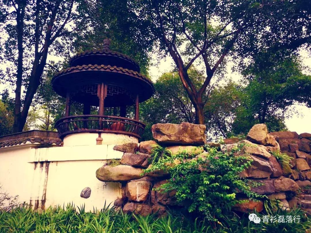 月满易园兰舟、秋莲华西钟楼:诗意生活就在身边,何须远走?