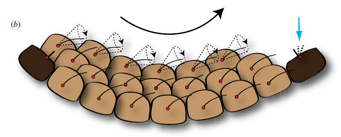 武汉发现38岁镜像人，泰国镜像人被处死又复活，镜像人是什么？