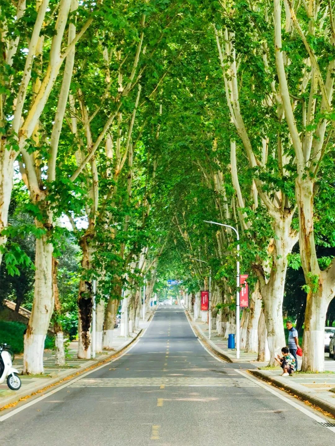 全国第一!华中农业大学真是太太太牛了