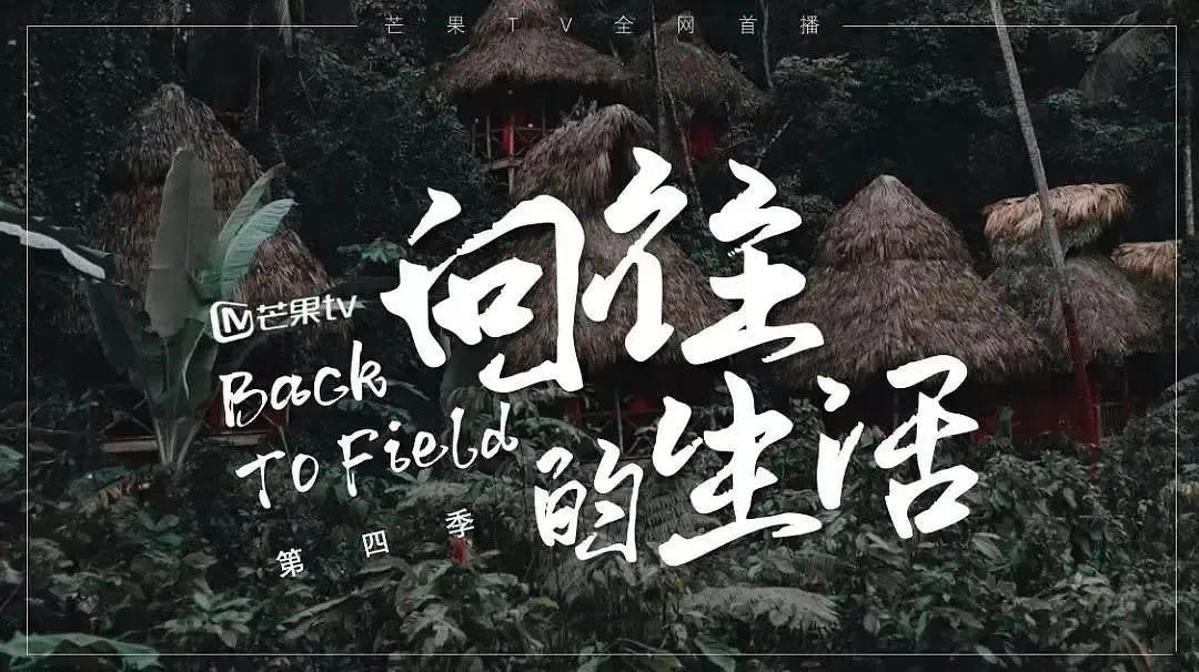 西双版纳风景之旅自由行旅游攻略,邂逅雨林西双版纳秘境之旅