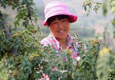 原创散文：玉英妈