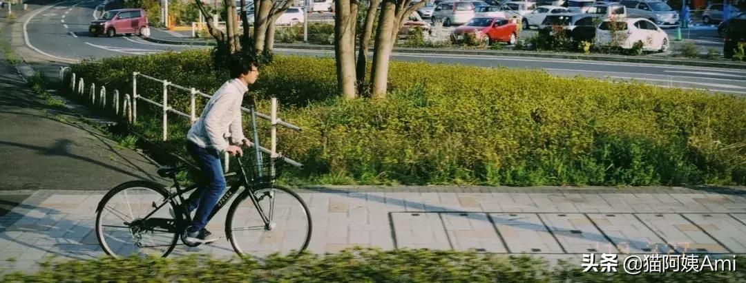 日本奈良喂小鹿时鞠躬砸到头,日本奈良神鹿公园游记