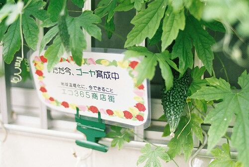 学厨师学校学出来好找工作吗,什么菜系的厨师好找工作工资高