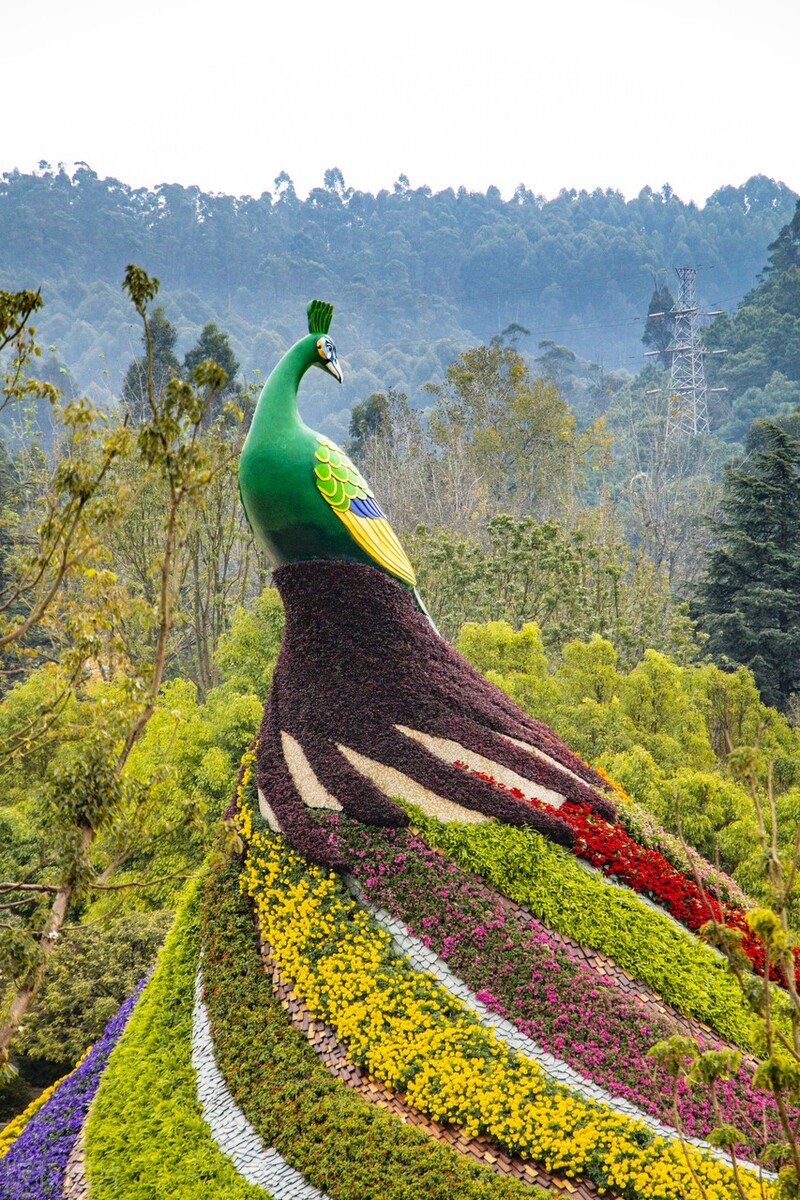 昆明世博园是免费参观的吗,第一次来昆明的感受
