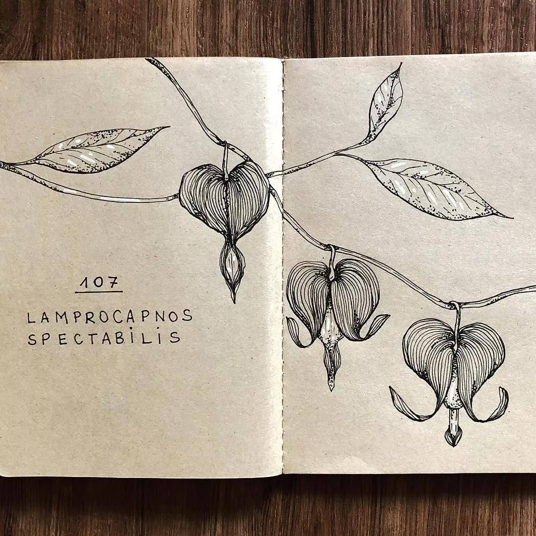 一看就懂的针管简笔画,针管笔入门手绘1000例临摹图