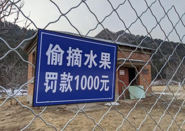 最奇葩的梦话是什么,你听说的最搞笑的梦话