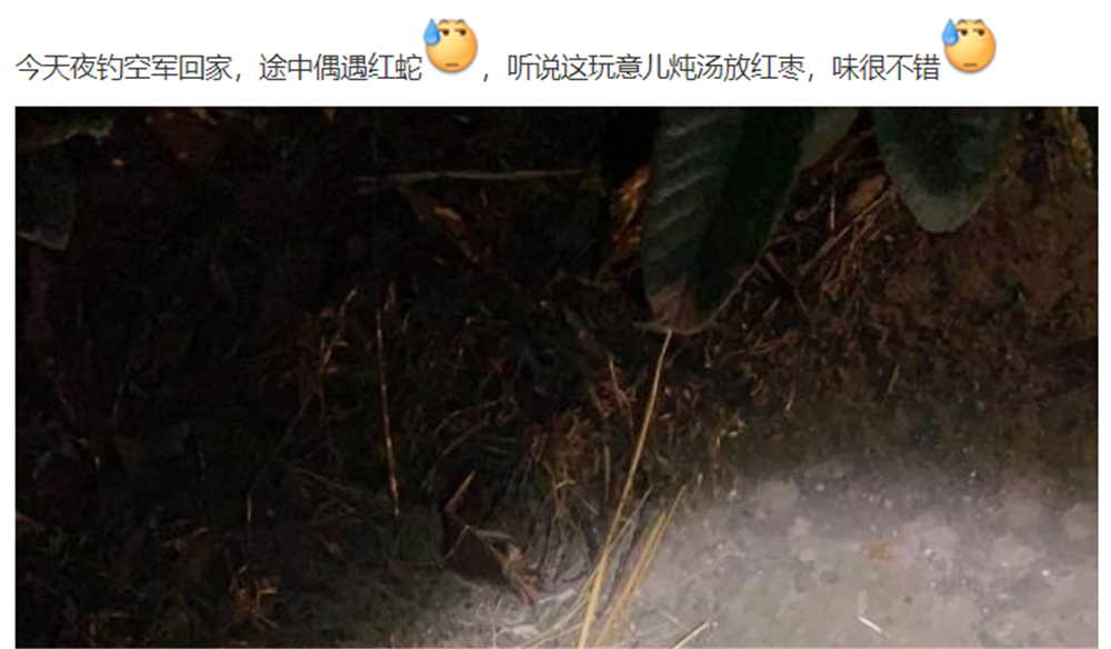 文能提竿安天下，武能执叉斗鳄鱼：鱼竿在手，万物皆有？