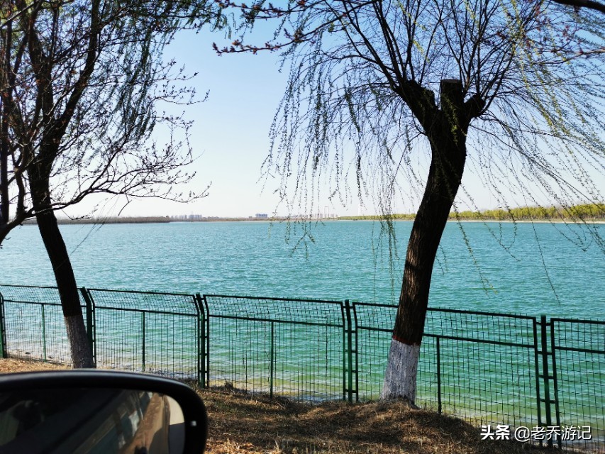 济南钓鱼新闻,济南垂钓圈