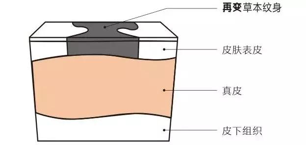 半永久纹身贴跟真纹身一样颜色,半永久纹身1-100天效果图
