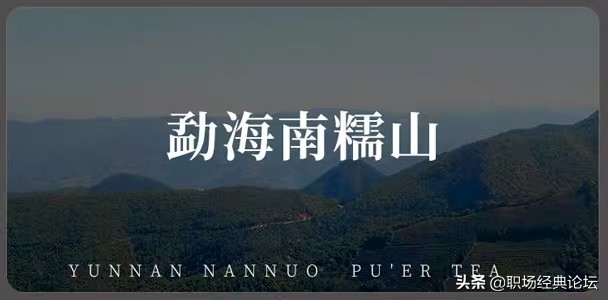 云南南糯山普洱茶口感与特点详解,云南南糯山普洱茶饼生茶357克