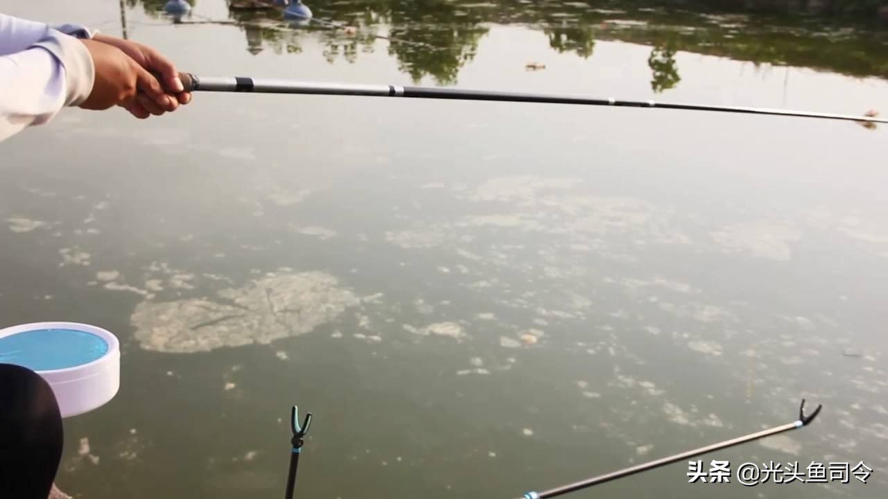 钓了几条鱼就不开口了,现在钓新鱼为什么不能打窝