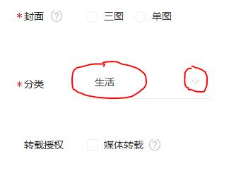 适合新手做的自媒体平台有哪些,自媒体写作新手怎么入门