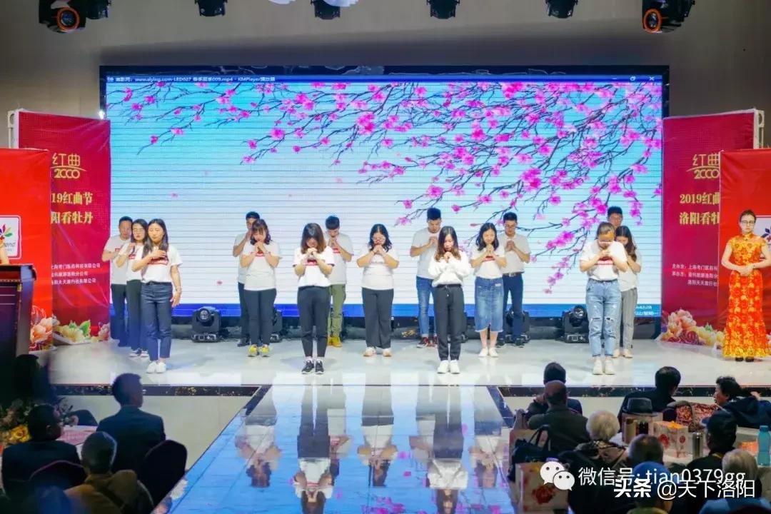 我的旅行社,厉害了我的旅游团