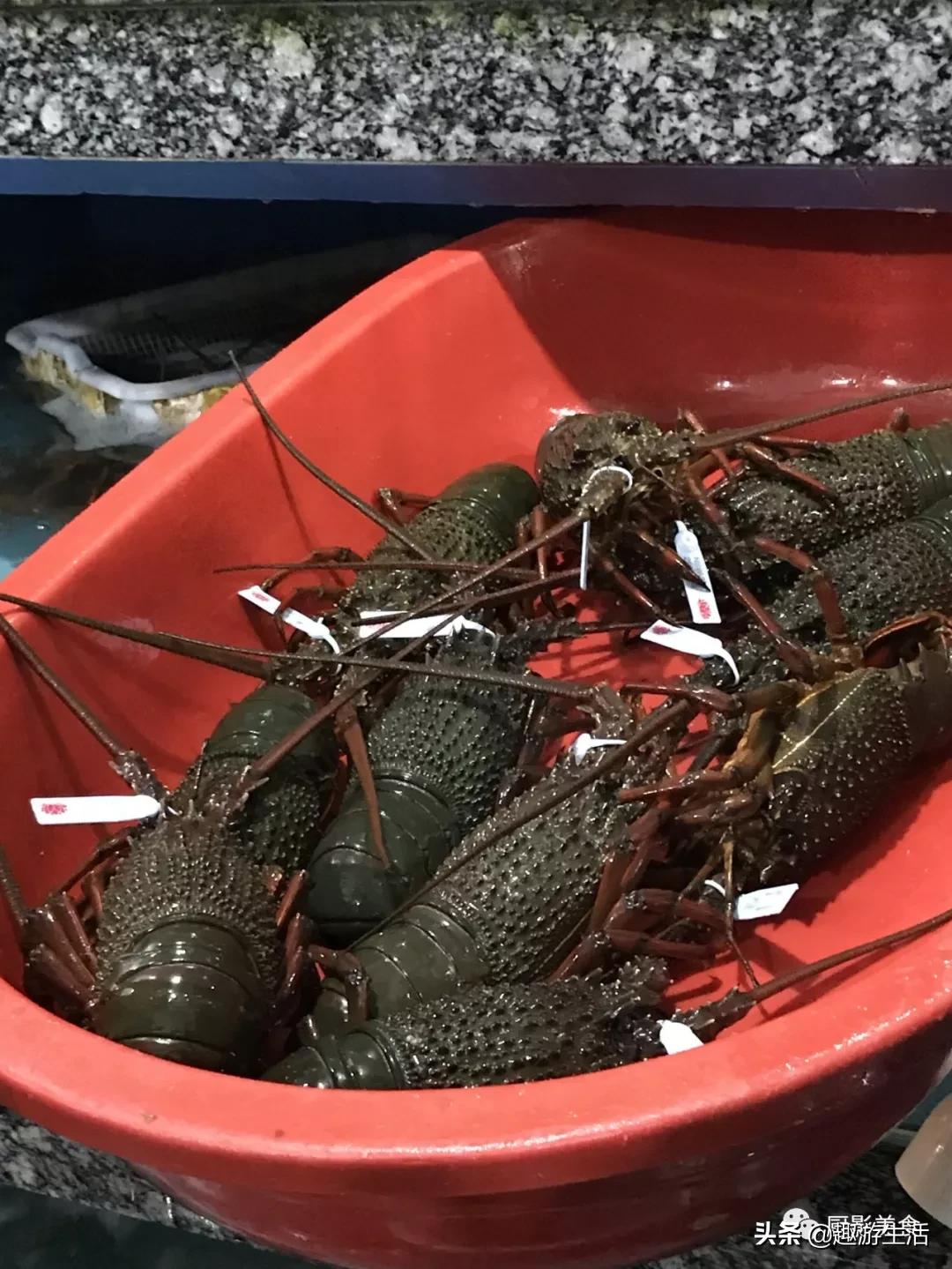 世界上的各种龙虾,世界上最大龙虾