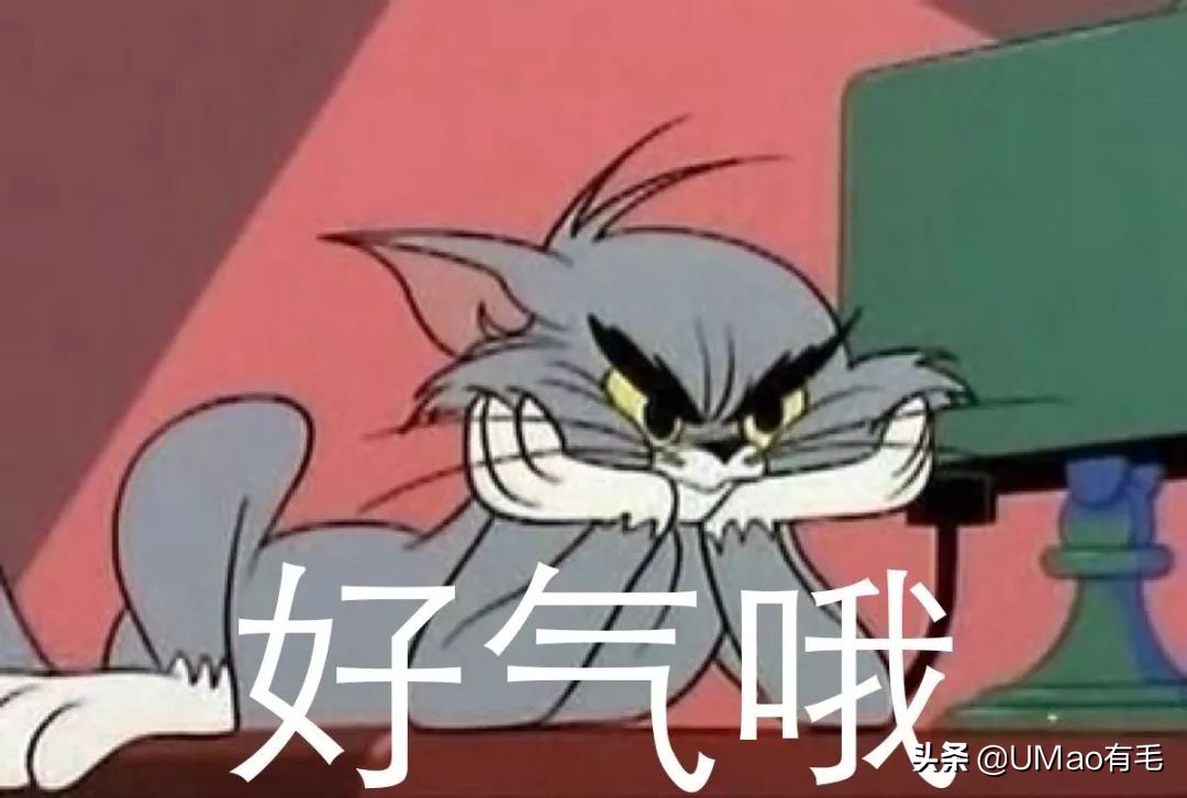 养猫就是抓老鼠吗,还有多少人养猫是为了抓老鼠的