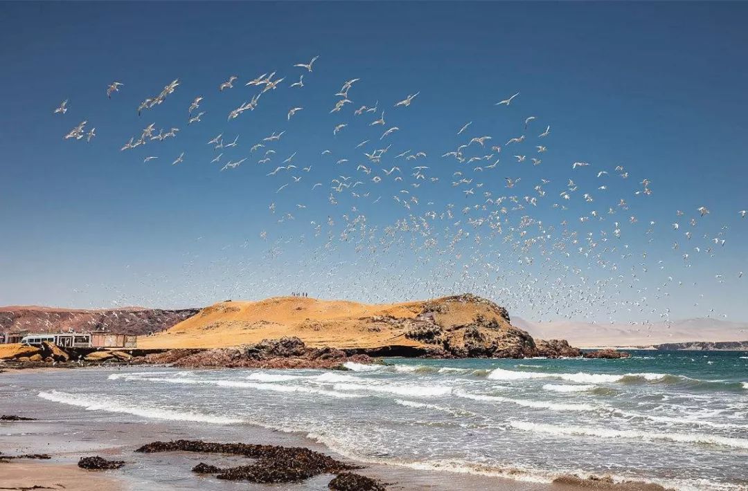 在地球的另一端相遇,在地球的另一端完整版