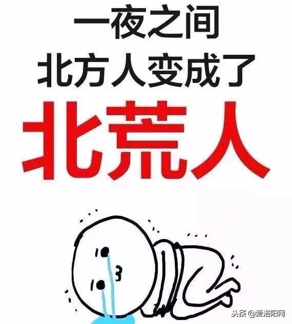 双十一账单图,双十一账单查询2020