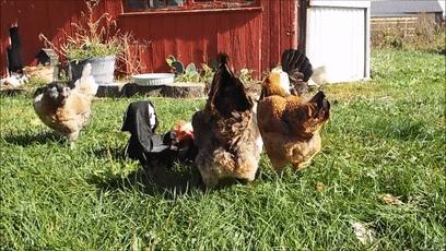 为过万圣节把房子改成鬼屋吓坏数千人，幸好我和这个老哥不是邻居