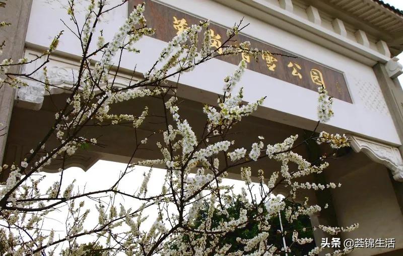 啊？日本传奇品牌酒店实力宠粉，带娃来一场暑期放肆嗨玩