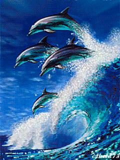 海边水中玫瑰花图片高清大图,最美山水花草倒影图片