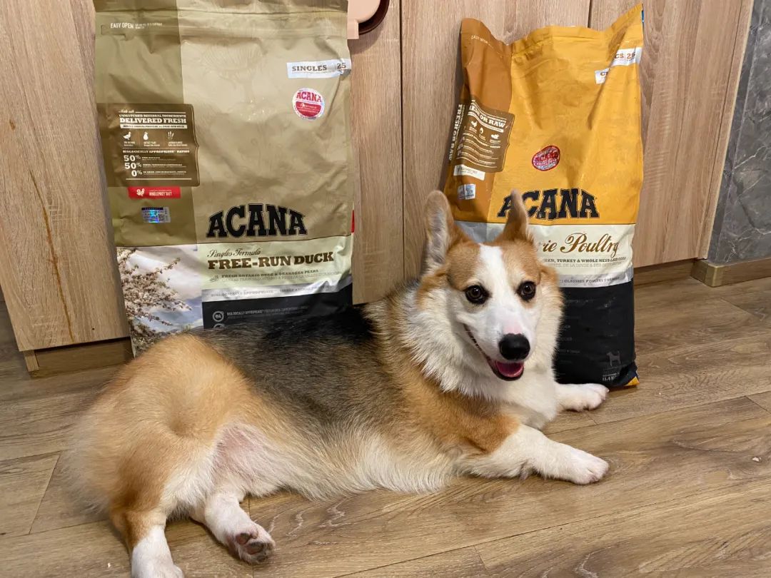 618粉丝福利专场,618粉丝福利商品