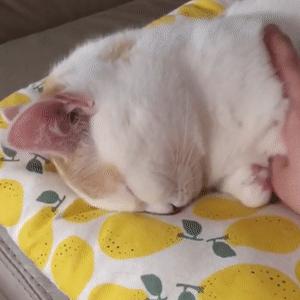 骗男朋友的小动作,妙招骗男朋友