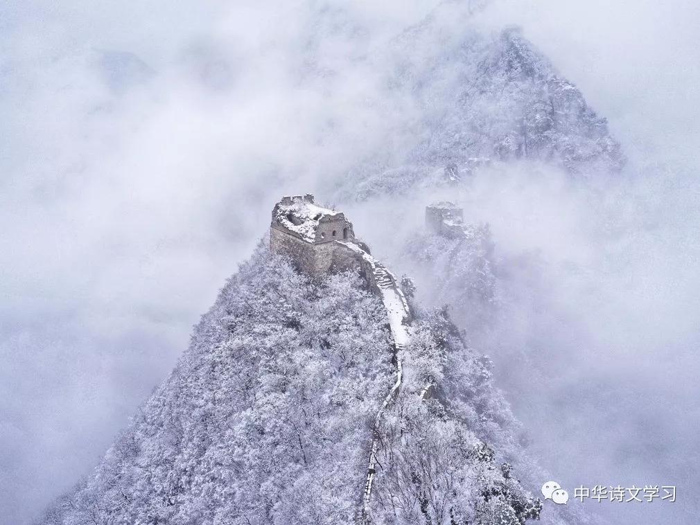 十首经典咏物诗,十首咏物诗并简单赏析