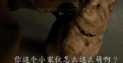 福利│一出场就暴揍老太太，漫威全村人的希望来了！