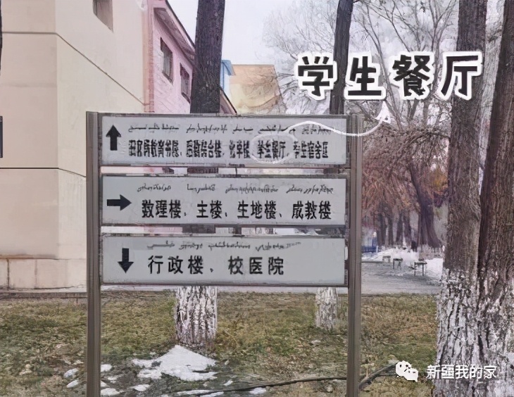 校园美食节登上热搜，*疆新**师范大学没想到你是这样的