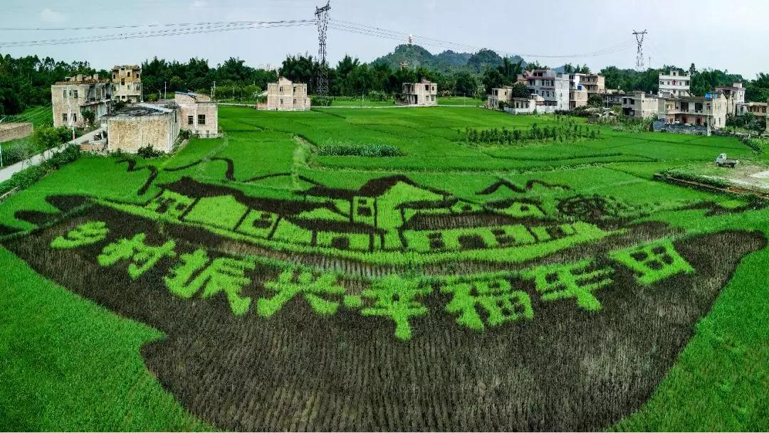 中农富玉大事记,中农富玉未来发展趋势