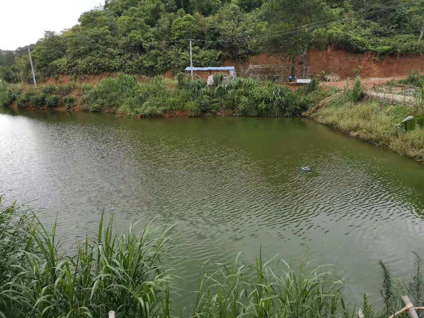 水产养殖成为最赚钱行业,在农村水产养殖什么回本快