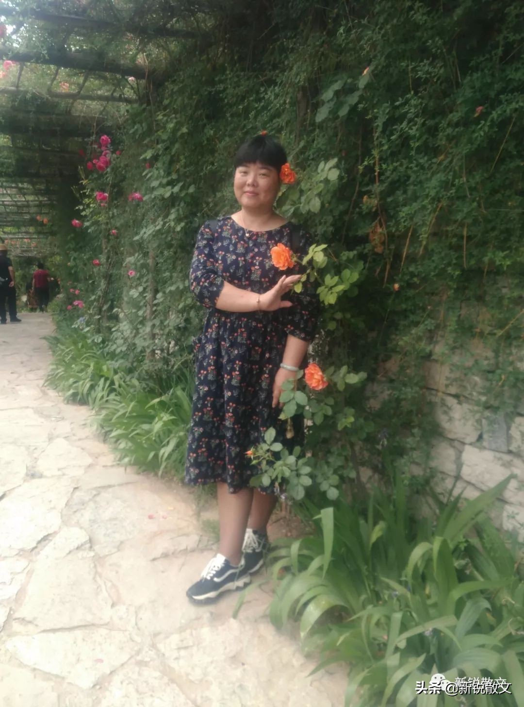 最忆是青州：来这里，吹宋朝的风、沐宋朝的雨，感受大宋的气韵