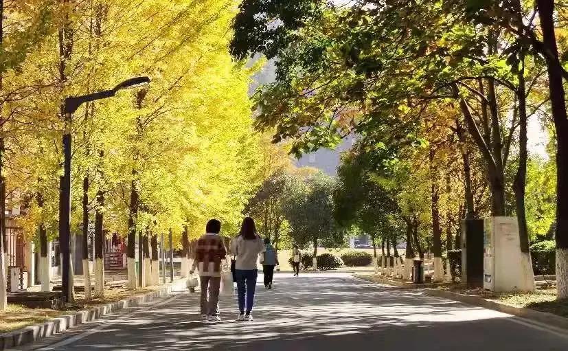 涓滃崡澶у鎴愯搐瀛﹂櫌,涓滃崡澶у鎴愯搐瀛﹂櫌鐧剧