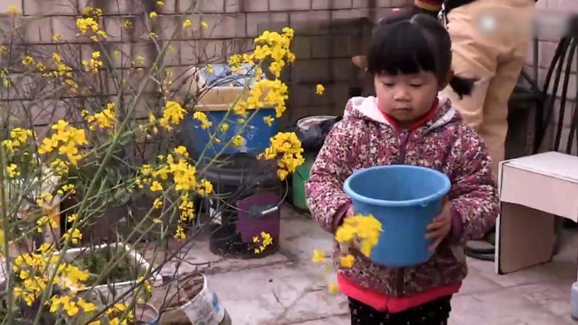 脑瘫孕妇冒险生娃完整版,脑瘫孕妇冒险生娃是第几期