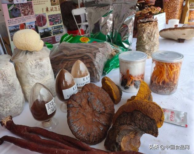 种灵芝乐趣多,利用空间种植灵芝