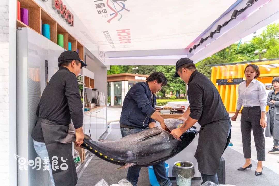 在昆明，第一次见200斤的大鱼，蘸着芥末生吃超爽