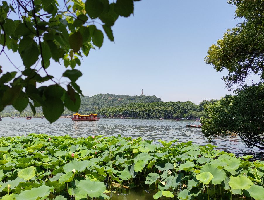 笋干菜烧肉杭州,笋干烧肉徽菜