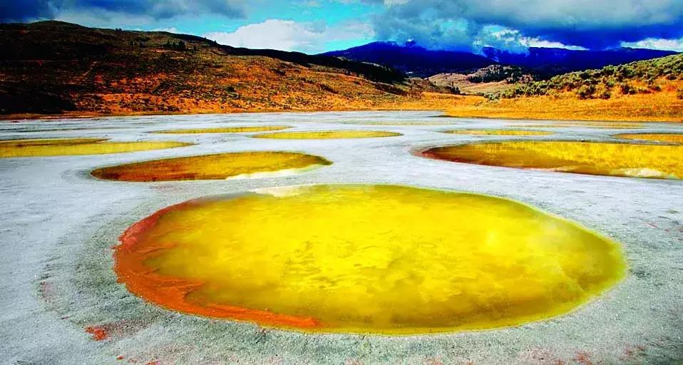 听说过斑马、斑点狗，你听说过斑点湖吗？