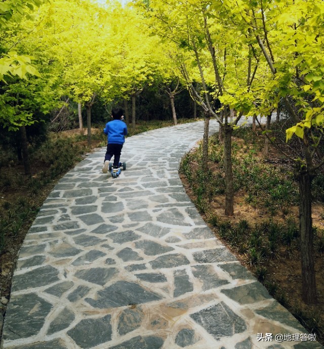 济南森林体育公园,济南市黄河健身休闲公园