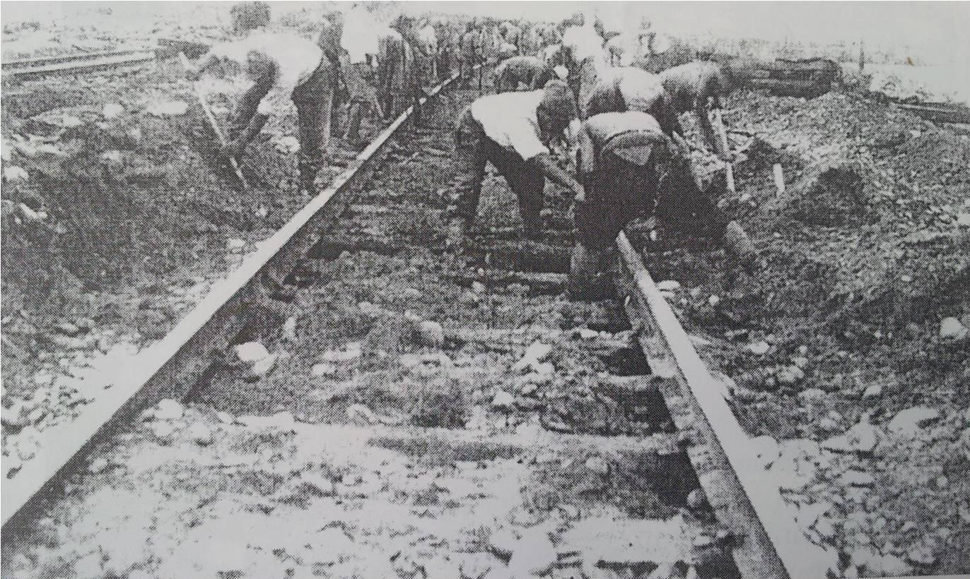 膏药旗当搓澡巾,日本关东军战俘在苏联那些事儿