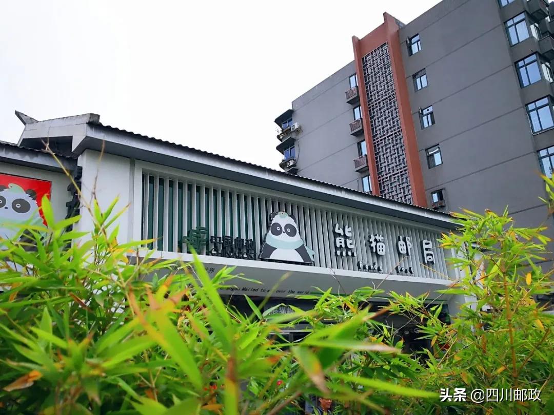 认识邮递员,邮政新人培训