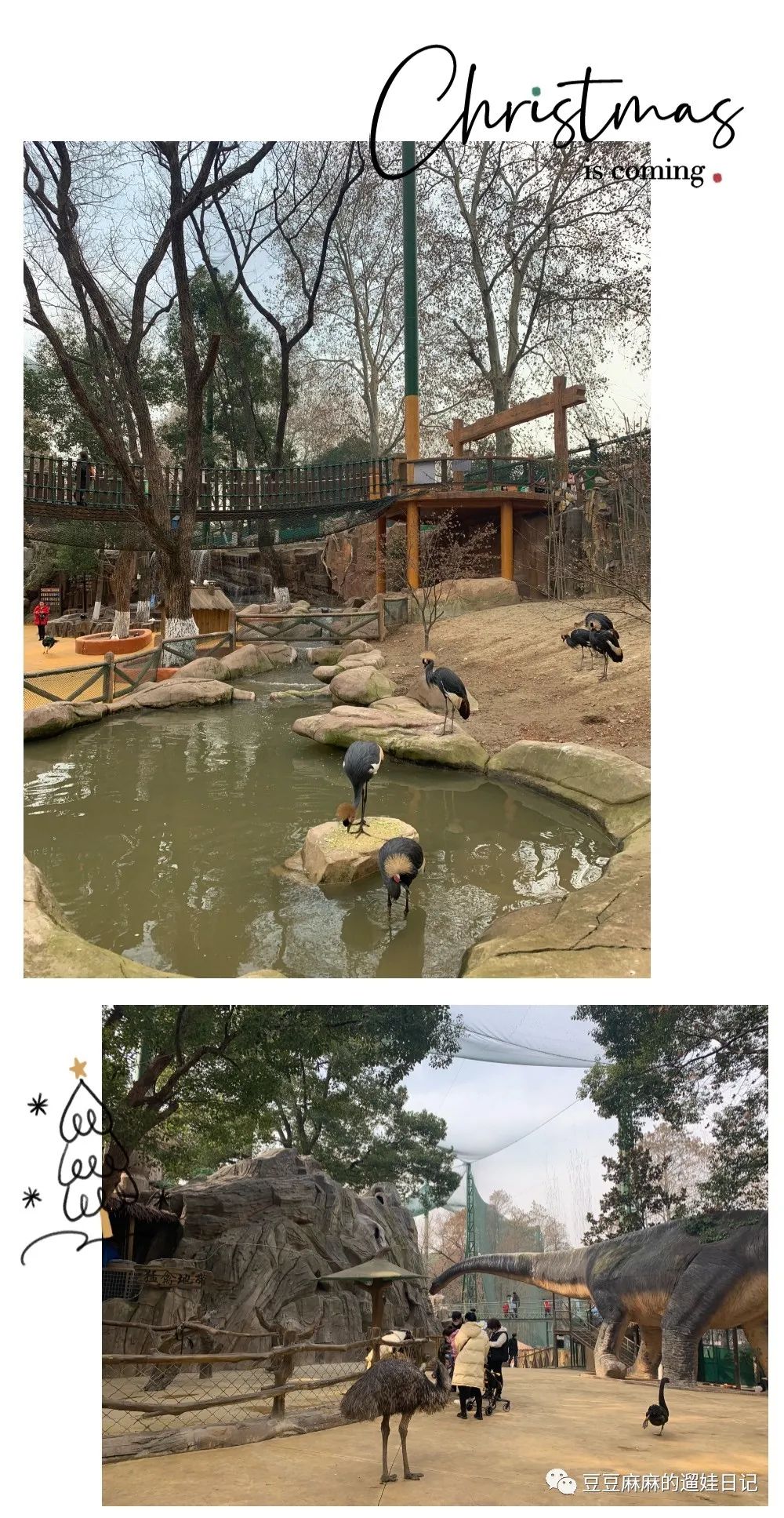 飞鸟世界和海洋世界,童话世界的小动物