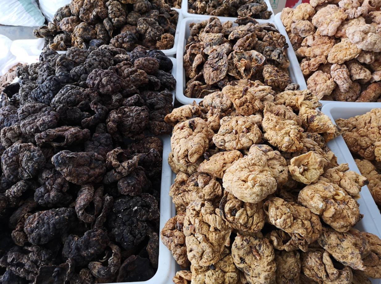 吃胎盘能大补还美容养颜?这块被供上餐桌的“腐肉”,骗了太多人