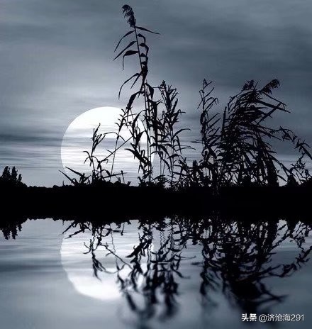 纳兰性德词中主要的十首诗,纳兰性德最孤寂的诗