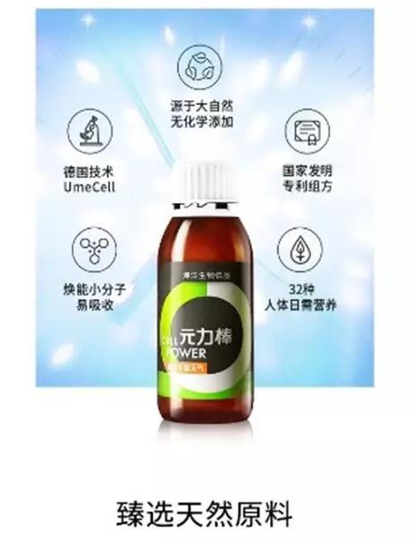 海参和茶叶能量饮料,海参养生茶怎样喝效果好