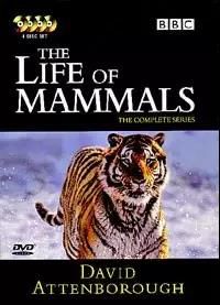 大卫爱登堡为地球发声的纪录片,大卫爱登堡纪录片七个星球