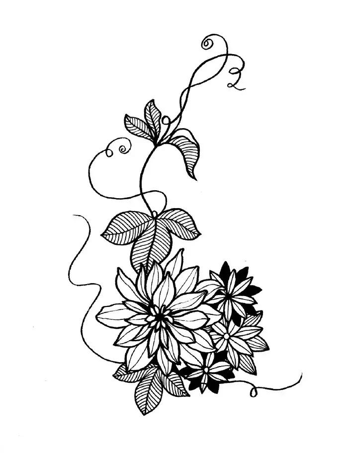 高级线描画花卉大全,花卉线描100种