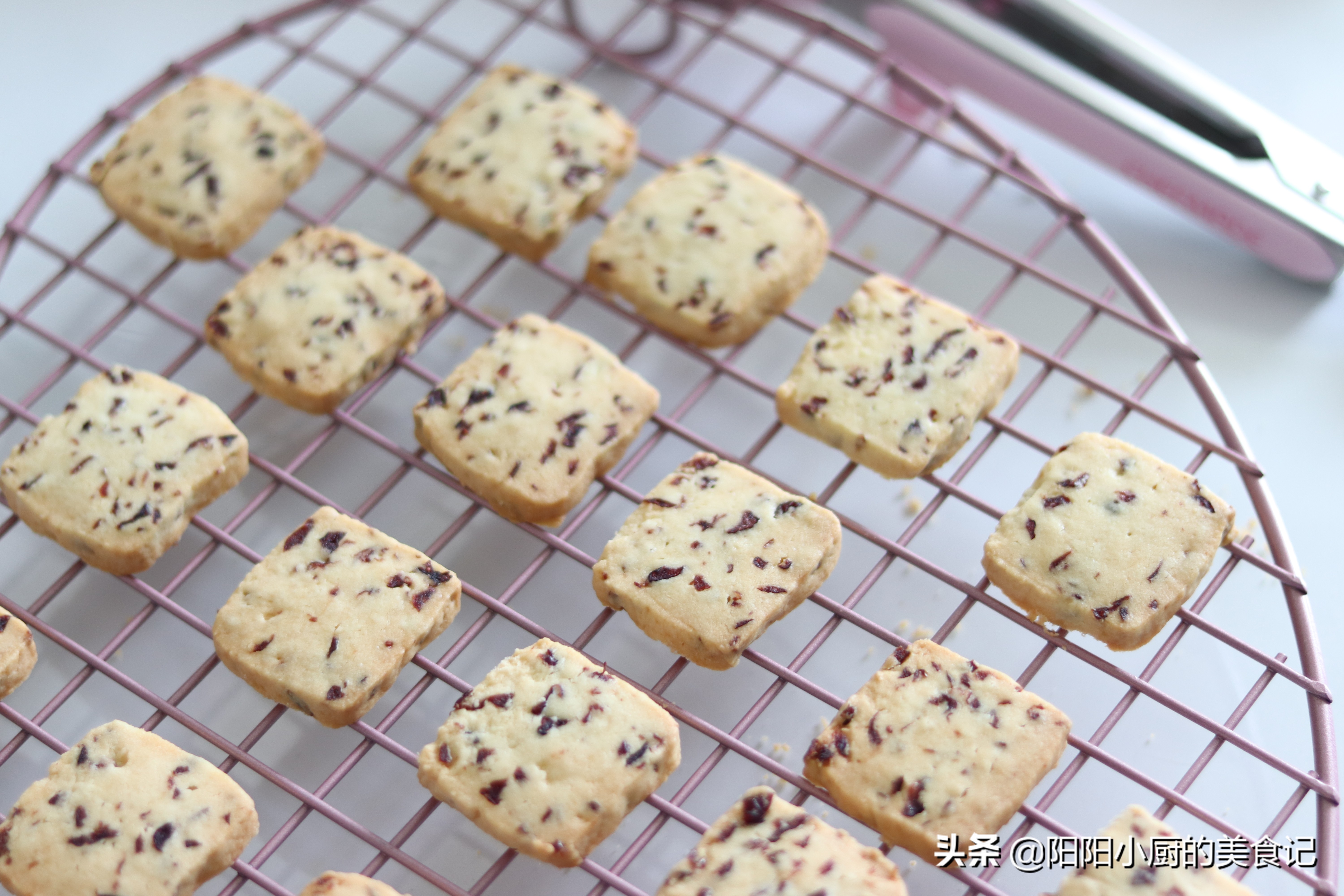 烘焙零基础自学制作小饼干,新手做曲奇饼干的烤箱