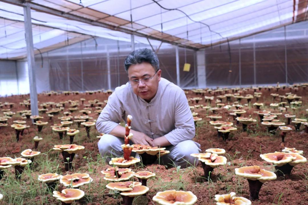 「赣商风采」许松勤:大山之子的时代梦